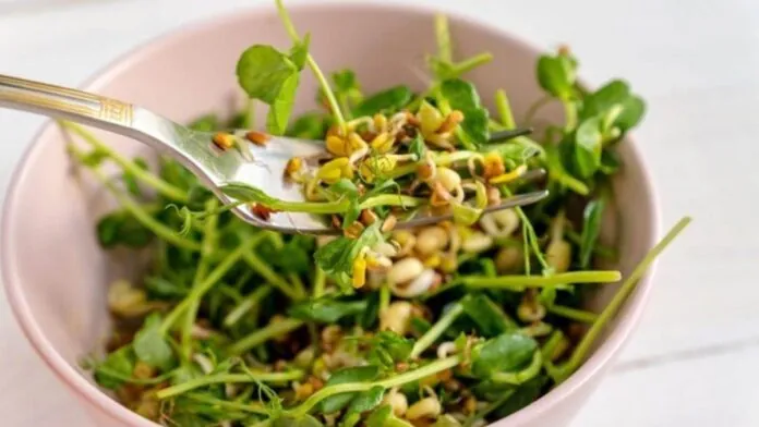 sprouts